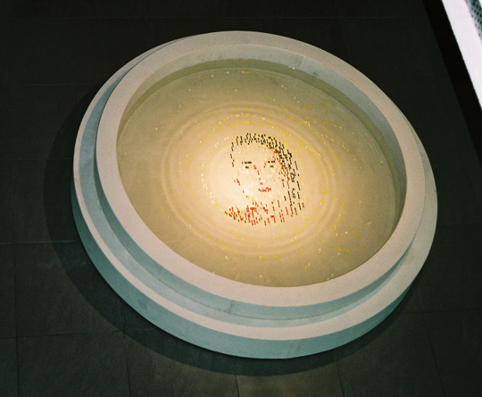 Elisabethbecken Nina Hohberger